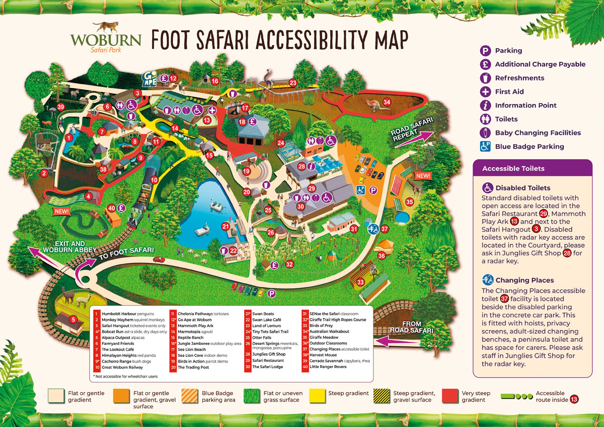 Image of woburn safari accessibility foot safari 2026