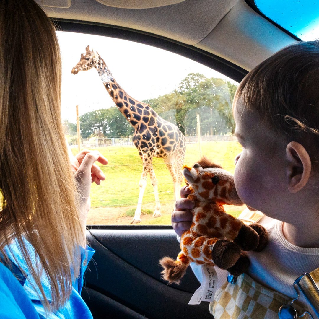 Image of dan d iris giraffe pic rain car interior web square 1080x1080