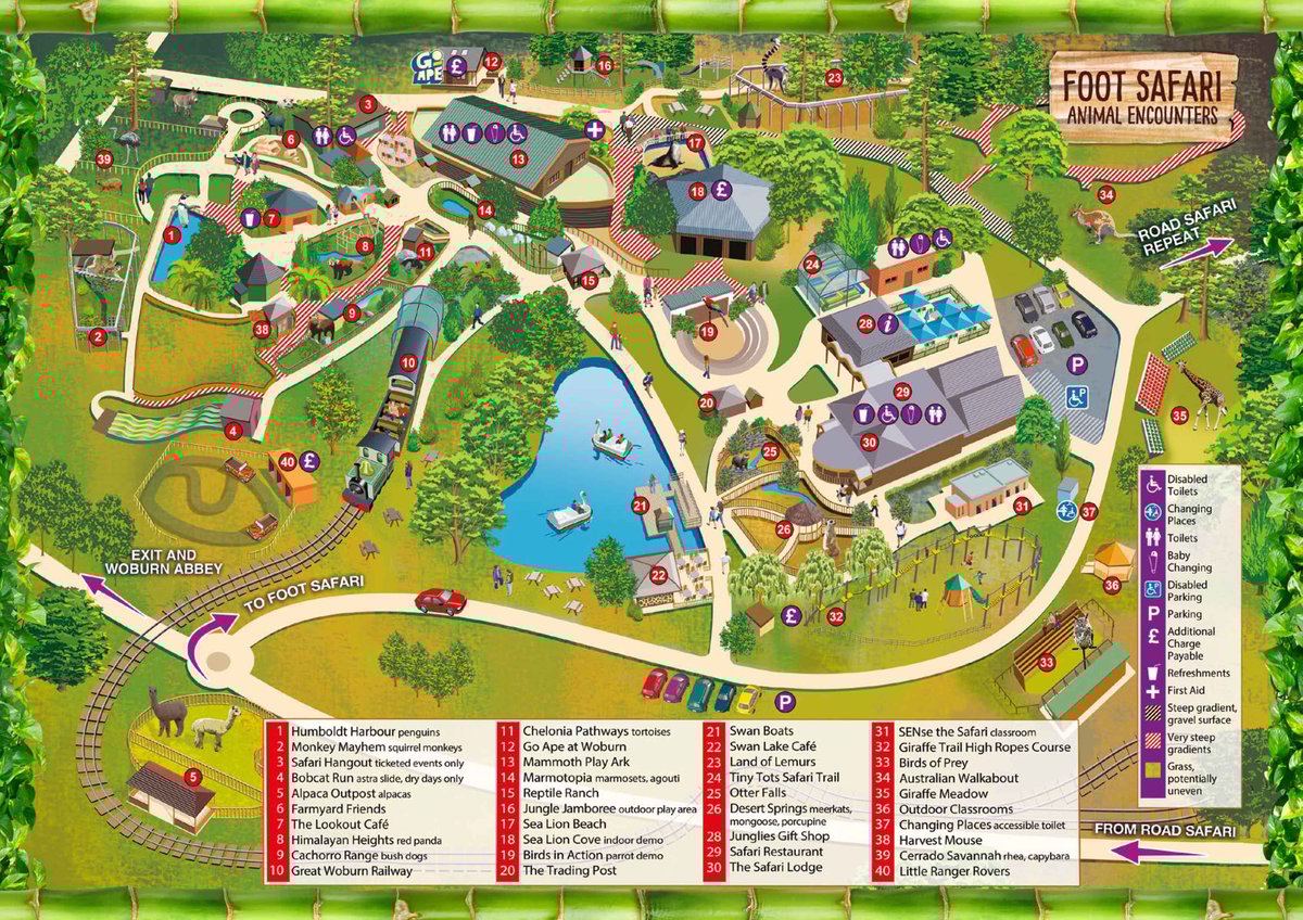 Image of wsp a4 foot safari map 2026 web