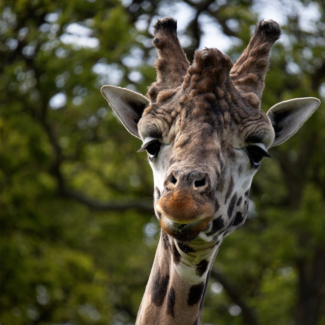 Image of casper close up web res 1080x1080