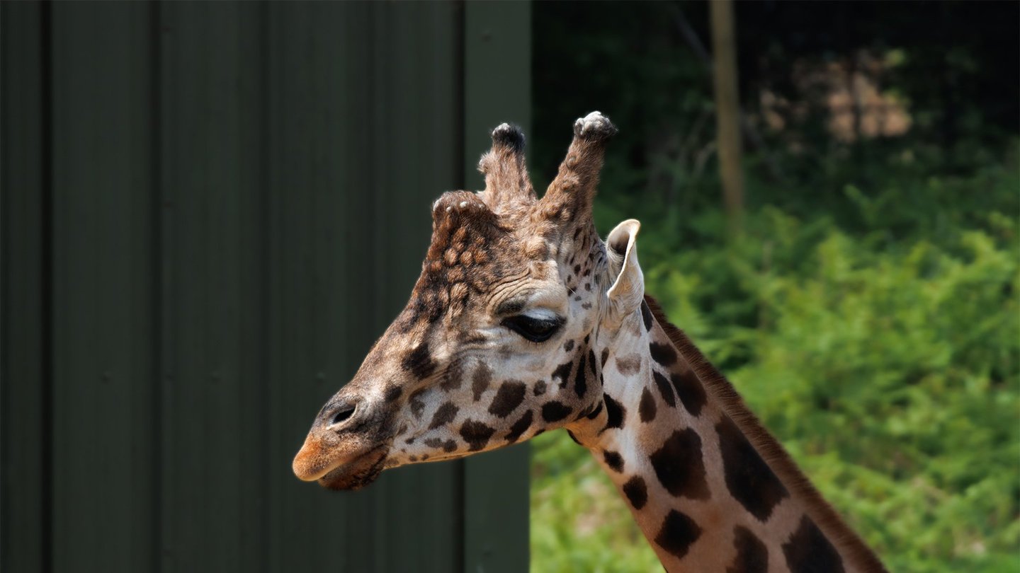 Image of casper side profile web landscape 1920x1080