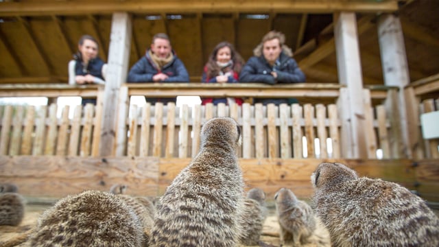 Image of work exp mock photo for banner web landscape 1920x1080 final