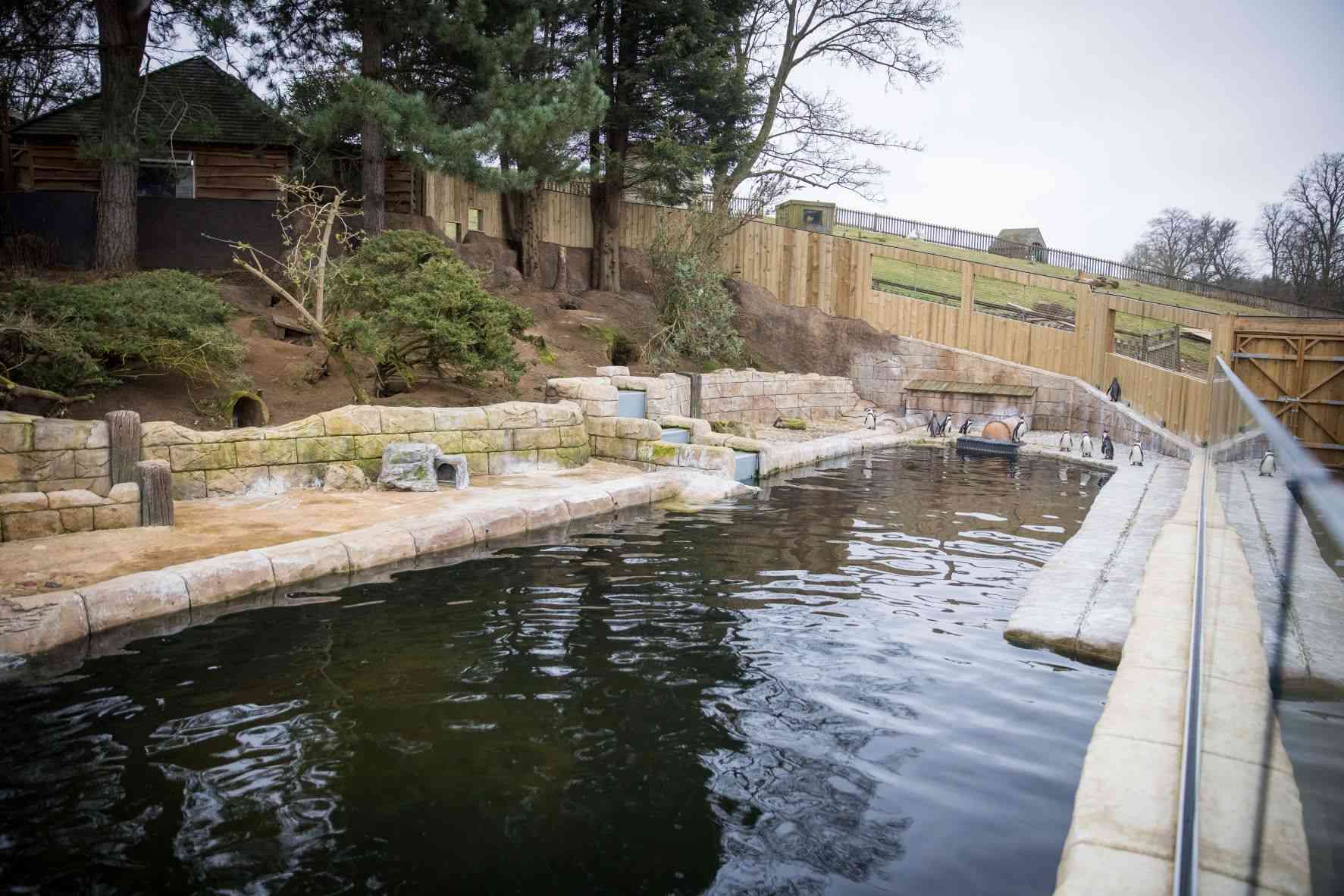 Humboldt Harbour penguin enclosure at Woburn Safari Park.jpg