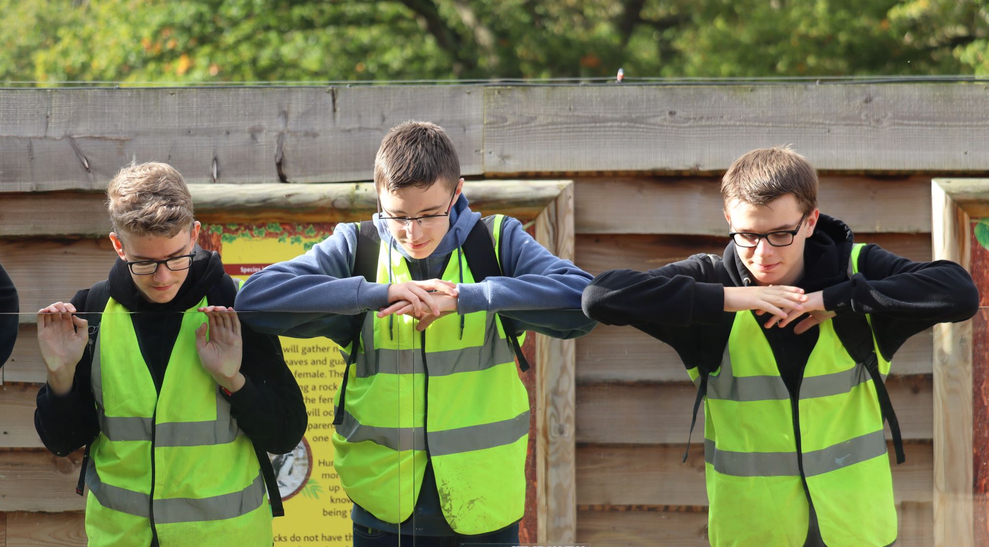 teenagers look into penguin enclosure