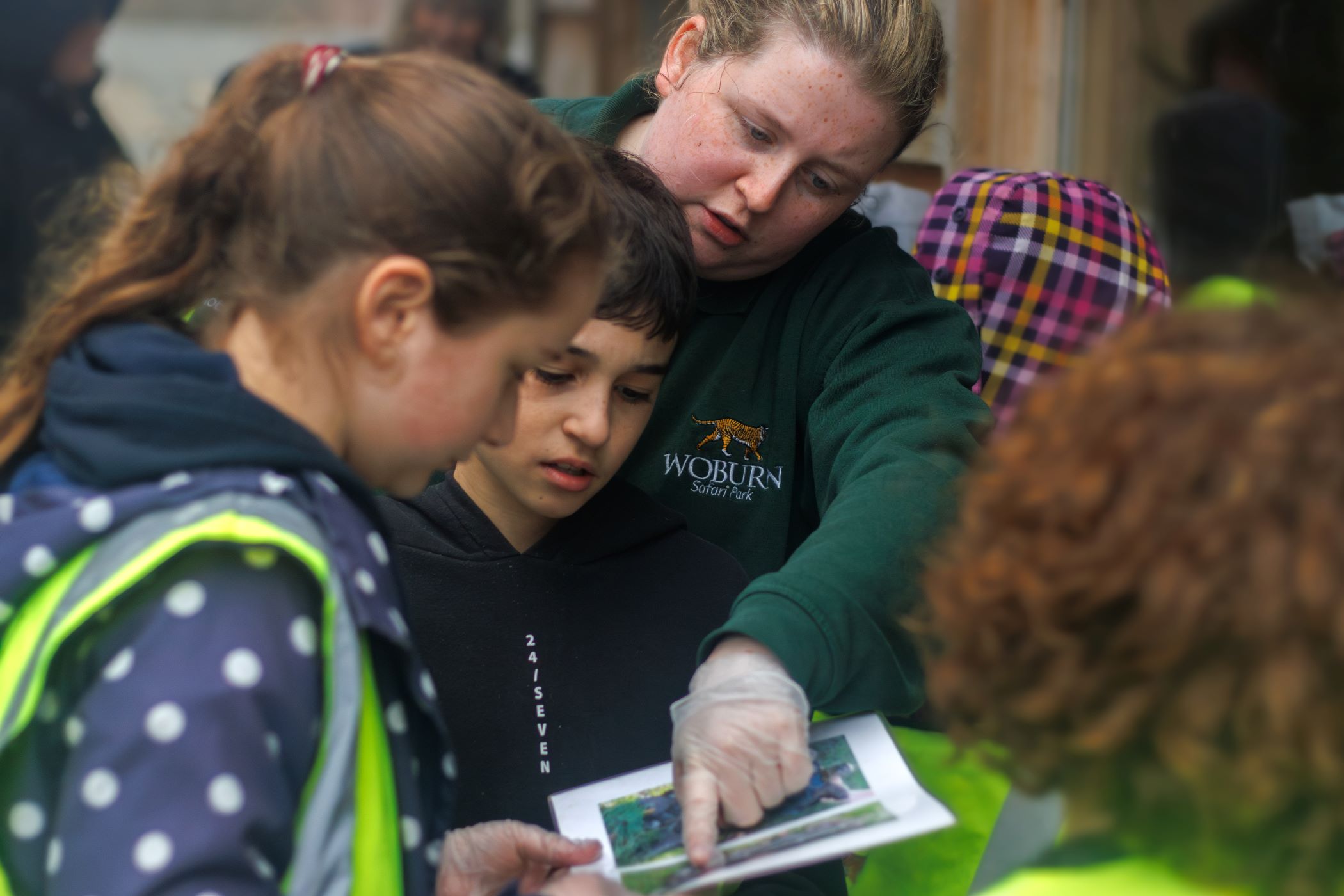 Educational ranger points to picture educational materials being held by young boy and girl aged around 8 years old 