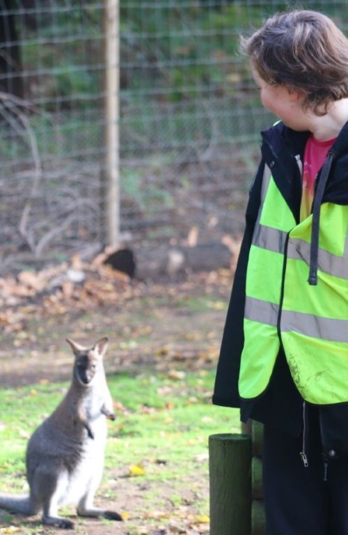 Image of workshop child with wallaby portrait