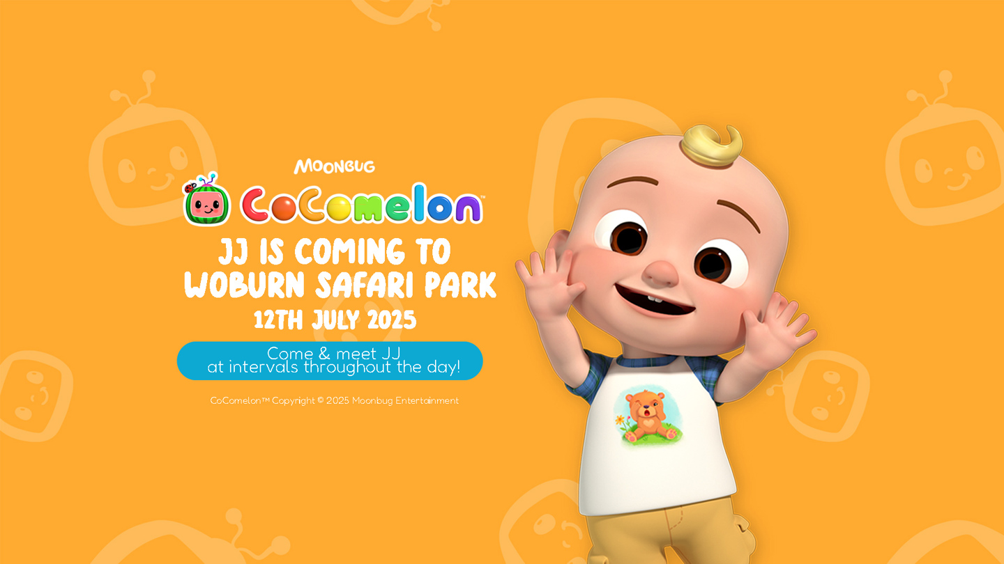 Image of 12th july jj cocomelon wsp web 1e event page banner 1920x1080