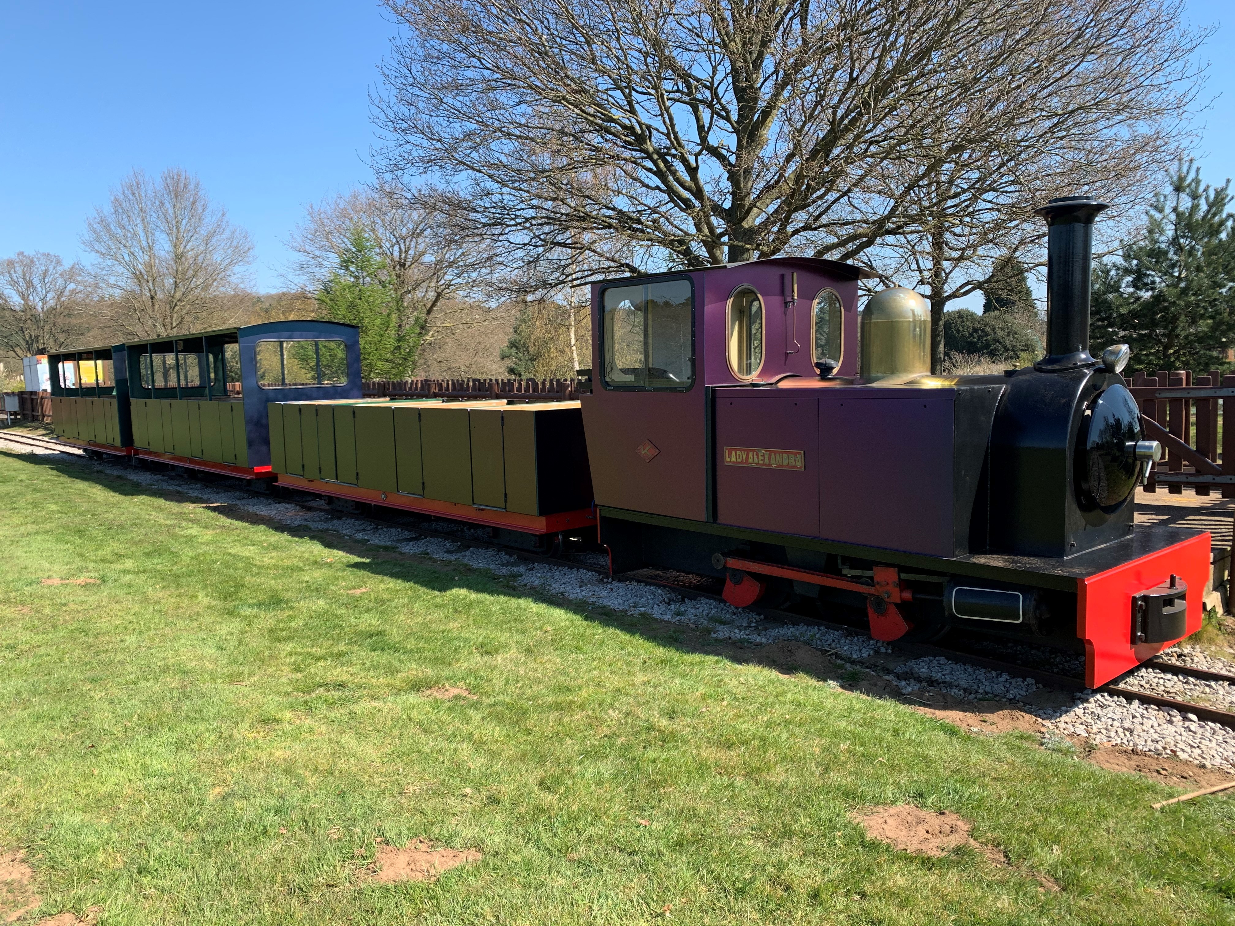 Image of the great woburn railway train