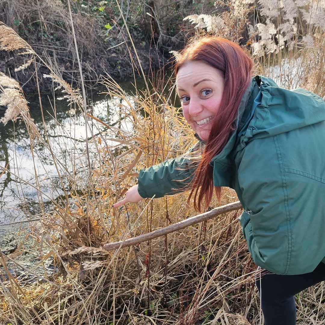 Image of keeper surveying harvest mice