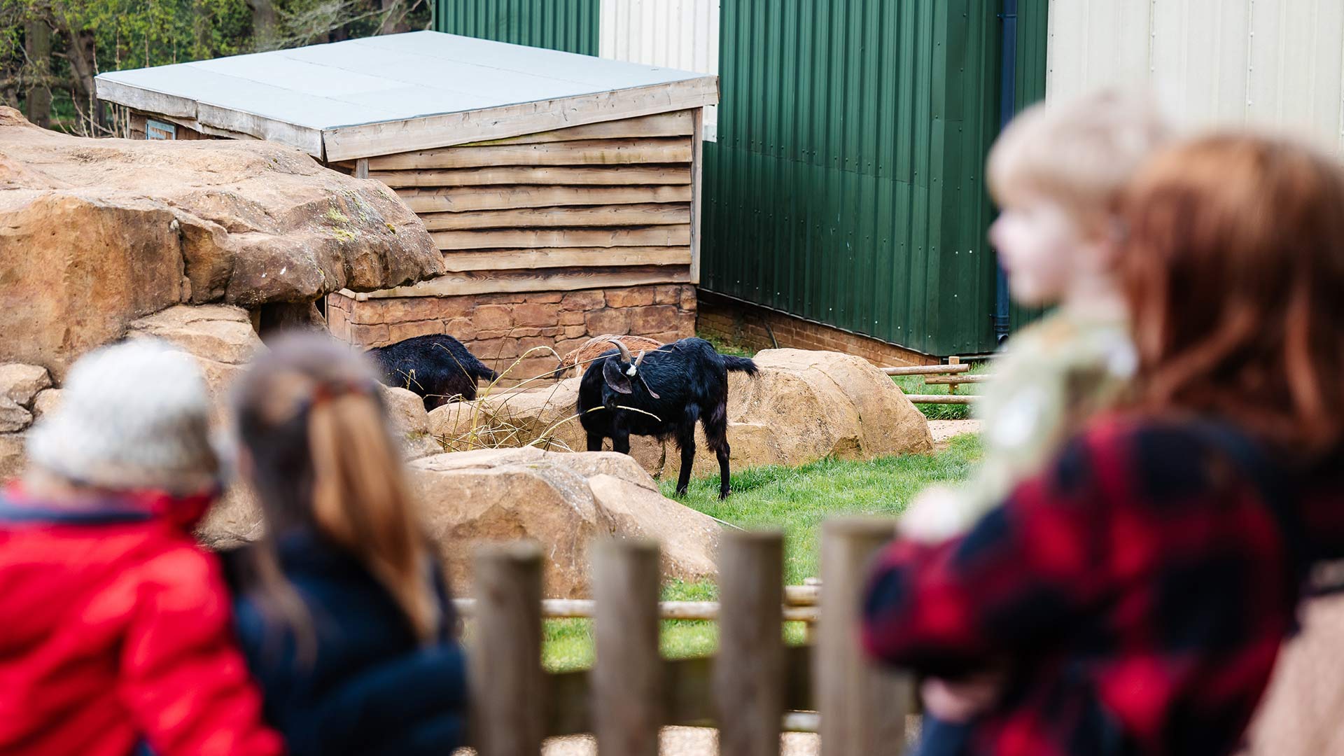 Image of family at farmyard web res