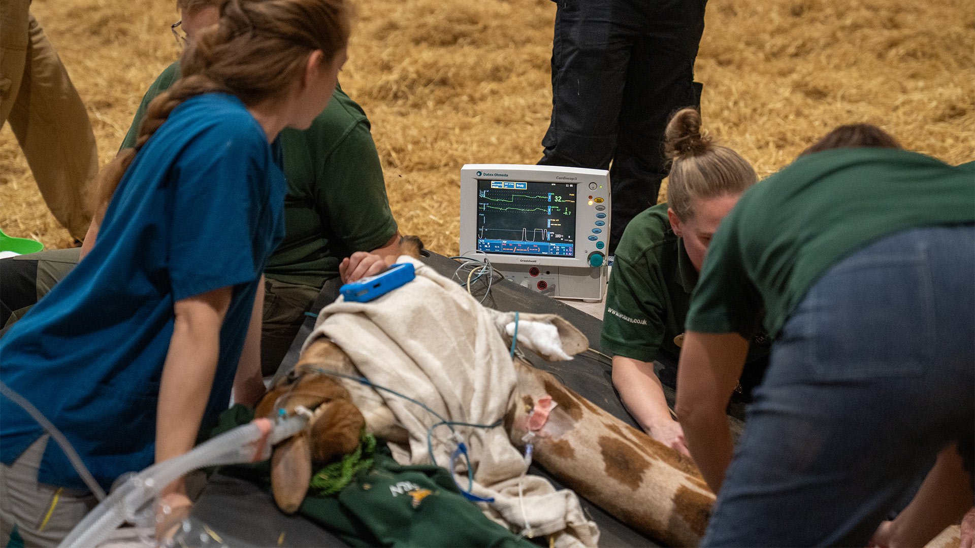 Checking Sahara Vitals during Surgery