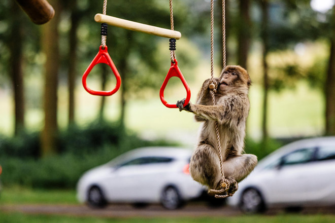 Image of wsp july 21 two d photography 55 web desktop