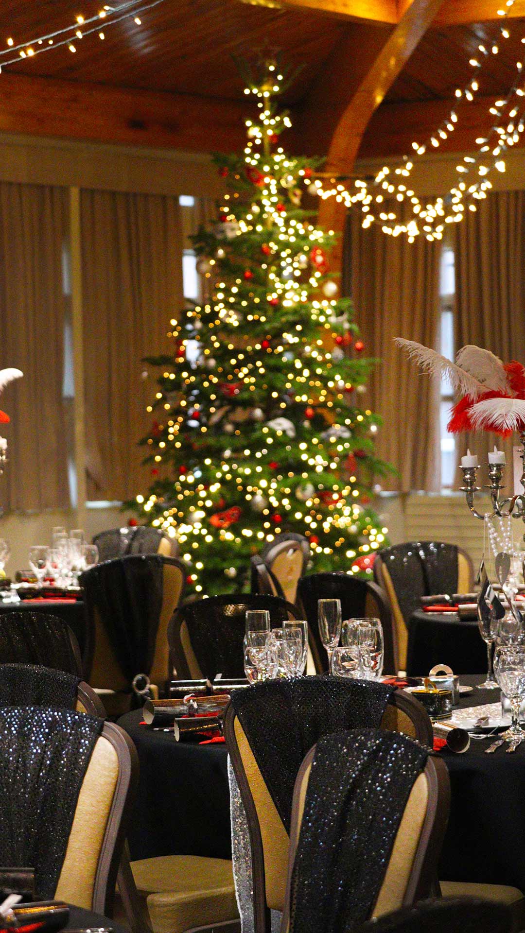 A Christmas party night at Woburn Safari Park