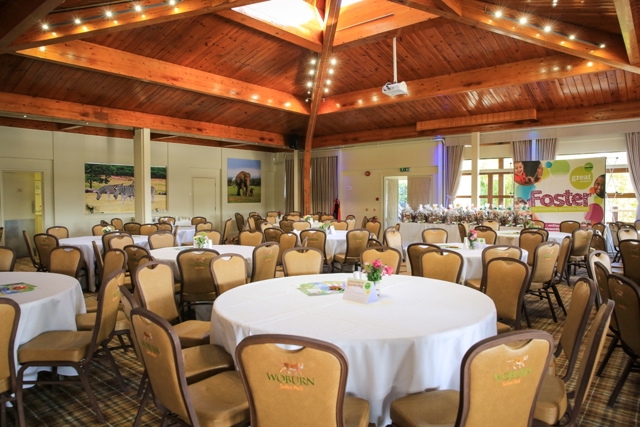 Rounded event tables set up in Safari Lodge 