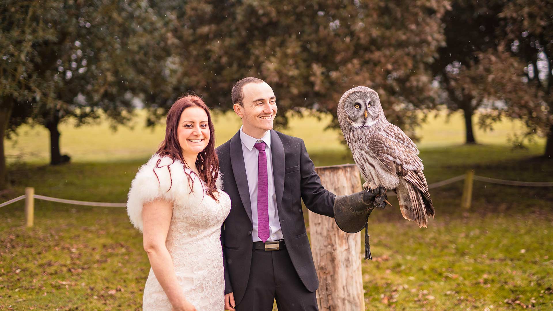 Image of wedding animal encounters bop web res