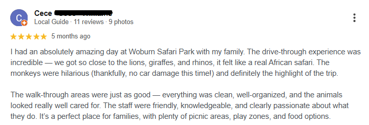 Long block of text outlining a review of a visit from a very happy customer