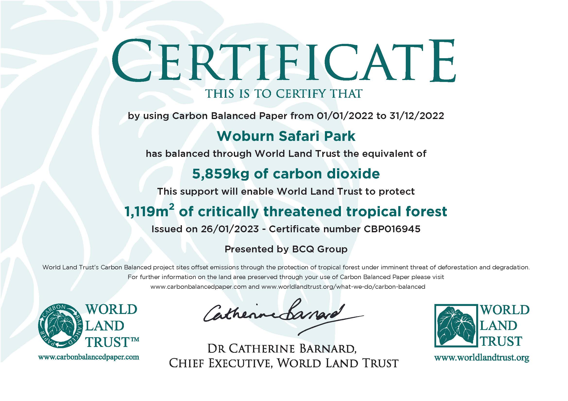 Carbon balanced paper certificate